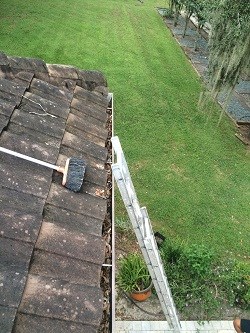 Other: Clean Pro Gutter Cleaning Wilmington NC